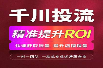 百度推广代运营案例：案例分享：打造行业领军品牌